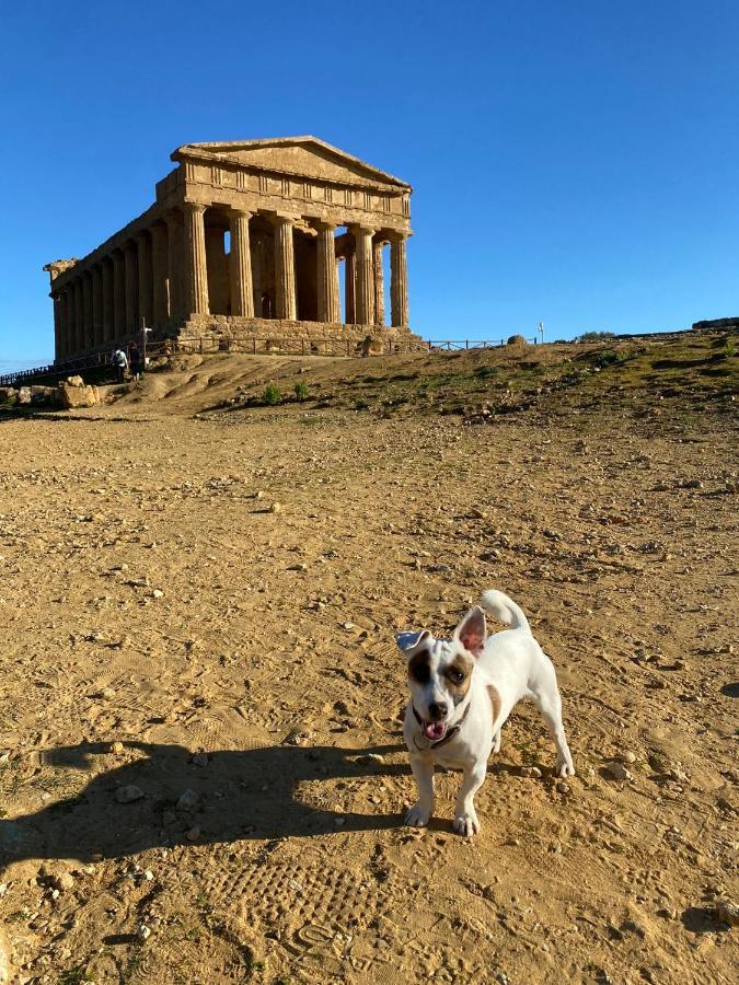 Akragaroom Agrigento Ngoại thất bức ảnh