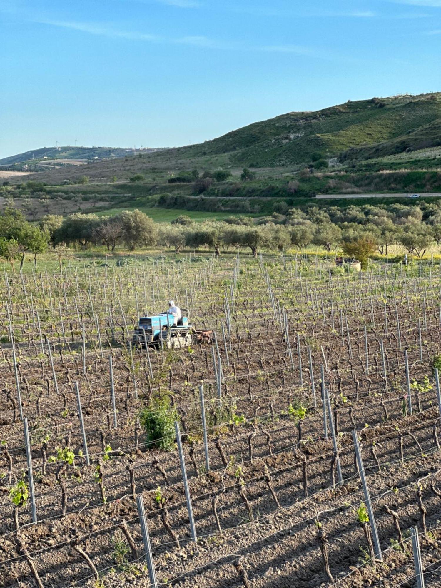 Akragaroom Agrigento Ngoại thất bức ảnh